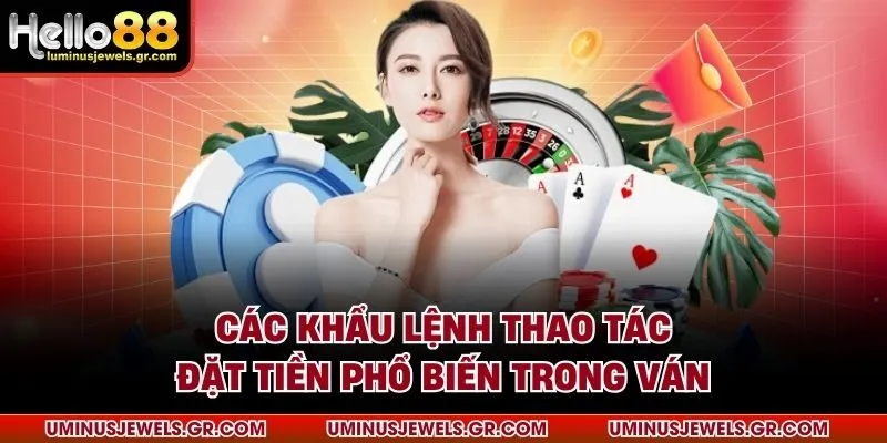 Các khẩu lệnh thao tác đặt tiền phổ biến trong ván