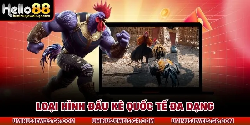 Loại hình đấu kê quốc tế đa dạng