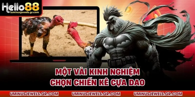 Một vài kinh nghiệm chọn chiến kê cựa dao