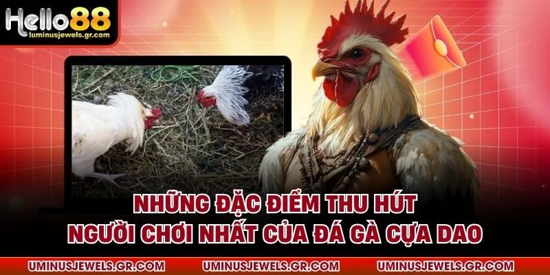 Những đặc điểm thu hút người chơi nhất của đá gà cựa dao