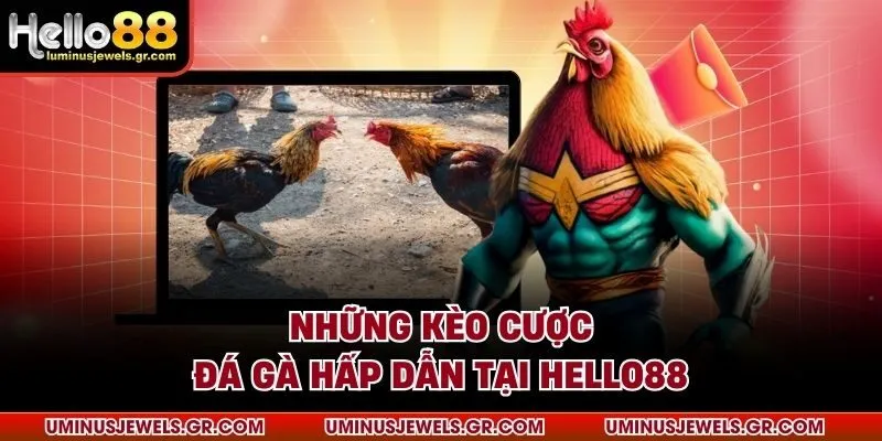 Những kèo cược đá gà hấp dẫn tại HELLO88