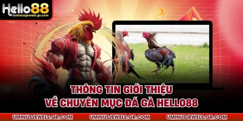 Thông tin giới thiệu về chuyên mục đá gà HELLO88
