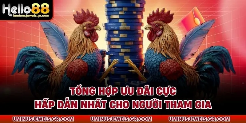 Tổng hợp ưu đãi cực hấp dẫn nhất cho người tham gia