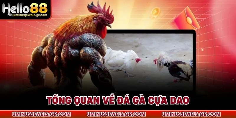 Tổng quan về đá gà cựa dao 