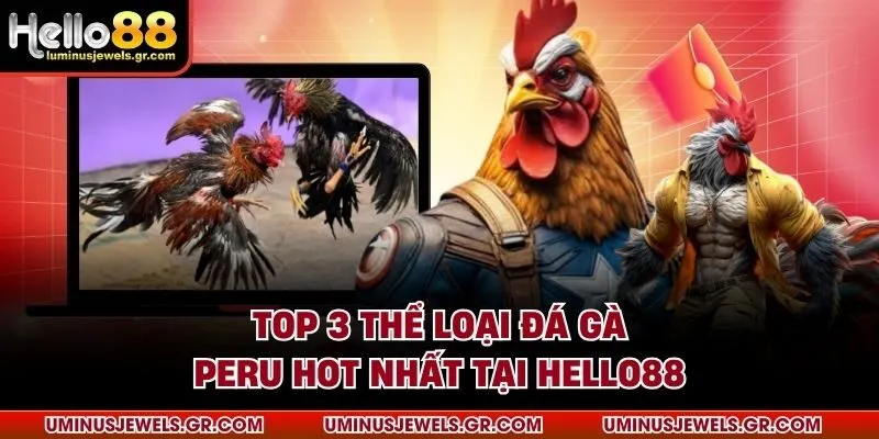 Top 3 thể loại đá gà peru hot nhất tại HELLO88